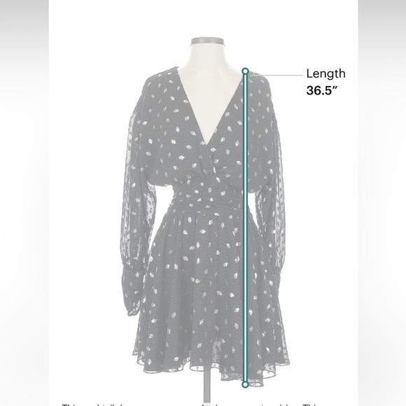 MISA Los Angeles Davie Ruched Metallic Chiffon Mini Dress (2 way wear) - Picture 10 of 16